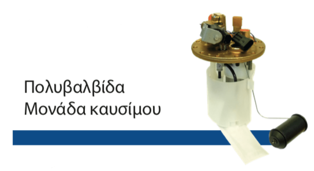 Polyvalvida Kausimou